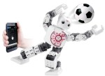 Robotis - Darwin Mini