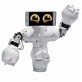 Fable Explore - AI Interaktin Robot