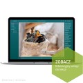 RoboCamp - Kurs programowania SPIKE Essential dla początkujących
